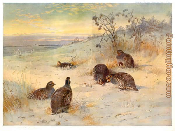 Archibald Thorburn Close of a Winter's Day